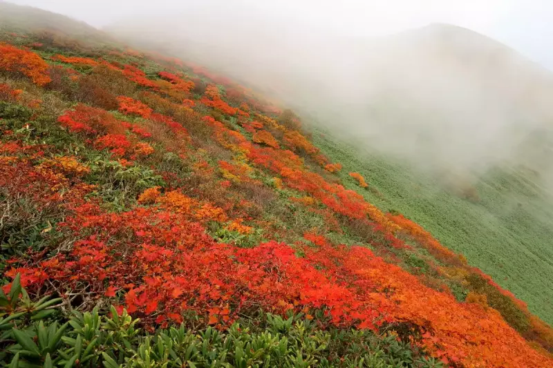 谷川連峰の絶景紅葉その1『平標山・仙ノ倉山』3
