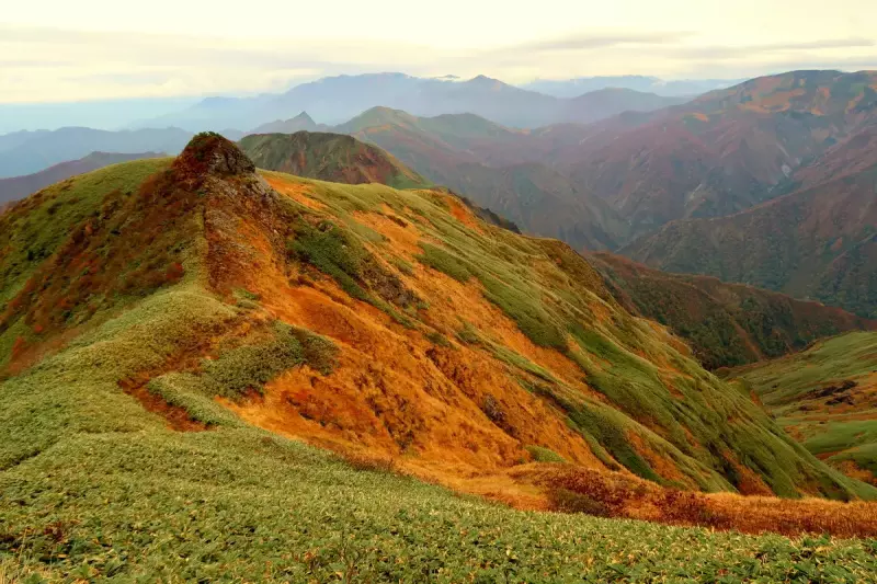 茂倉岳から左手前より茂倉ジャンダルム、武能岳、七ツ小屋山、大源太山、右は朝日岳