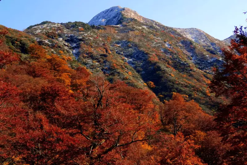 谷川連峰の絶景紅葉その3『大源太山』