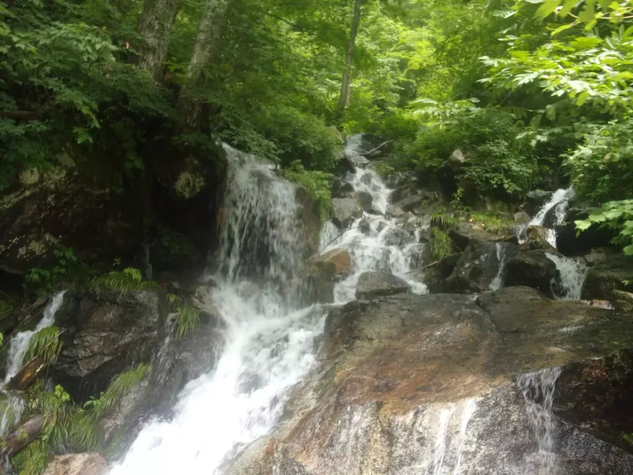 沢登りの魅力 自由なルート