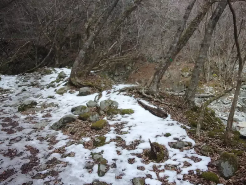 畦ヶ丸 登山 雪