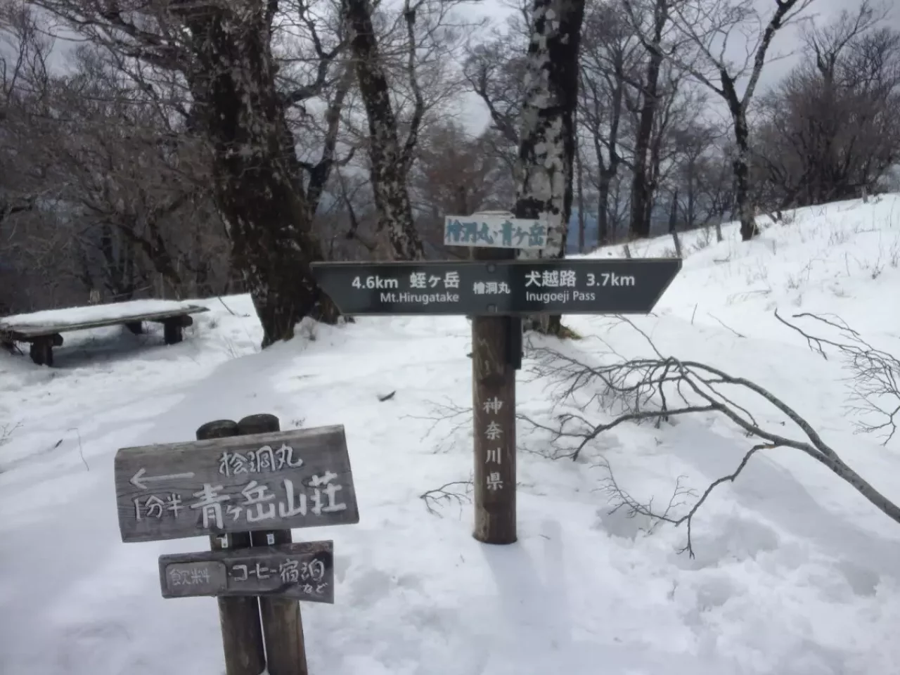 丹沢 登山 檜洞丸 山頂 積雪