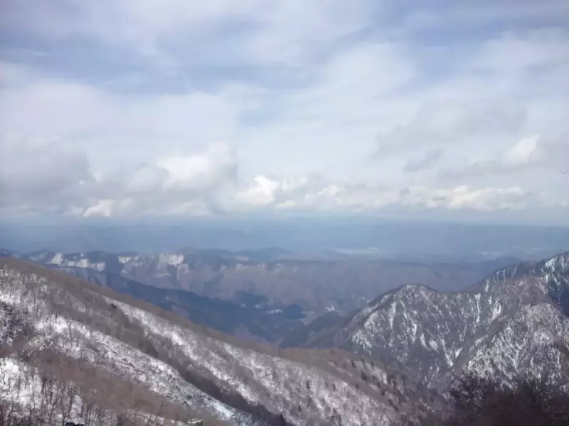 丹沢 登山 檜洞丸 登山道