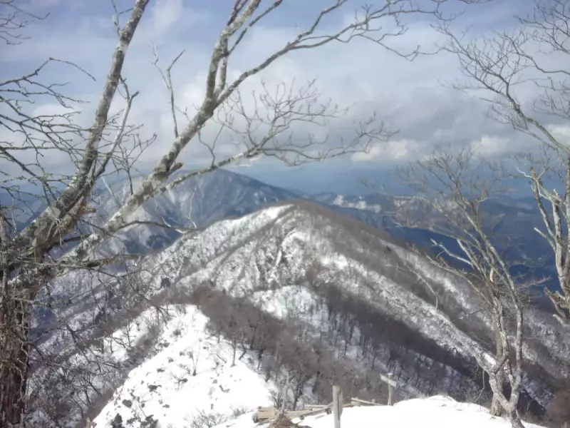 丹沢 登山 檜洞丸 登山道