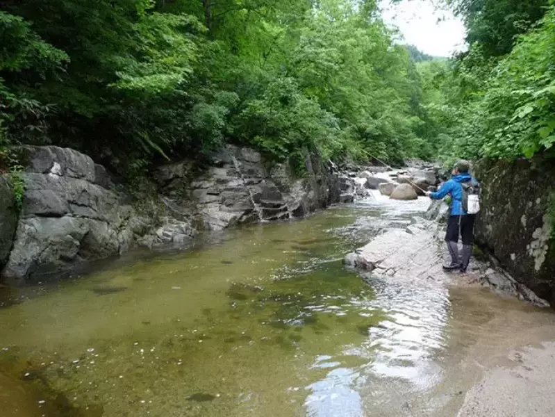 源流釣り