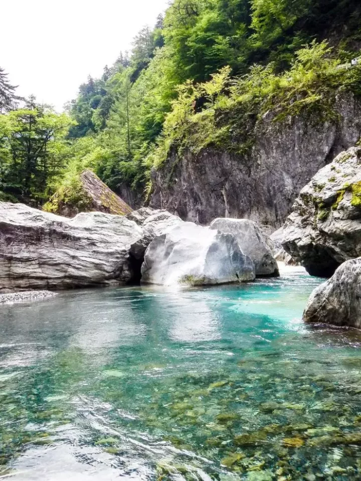 源流域での重要性