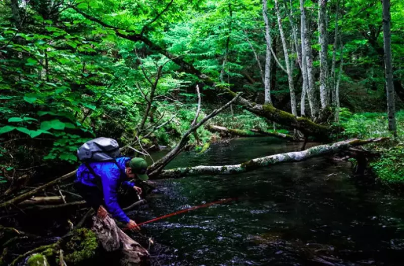 パタゴニアM10ジャケット