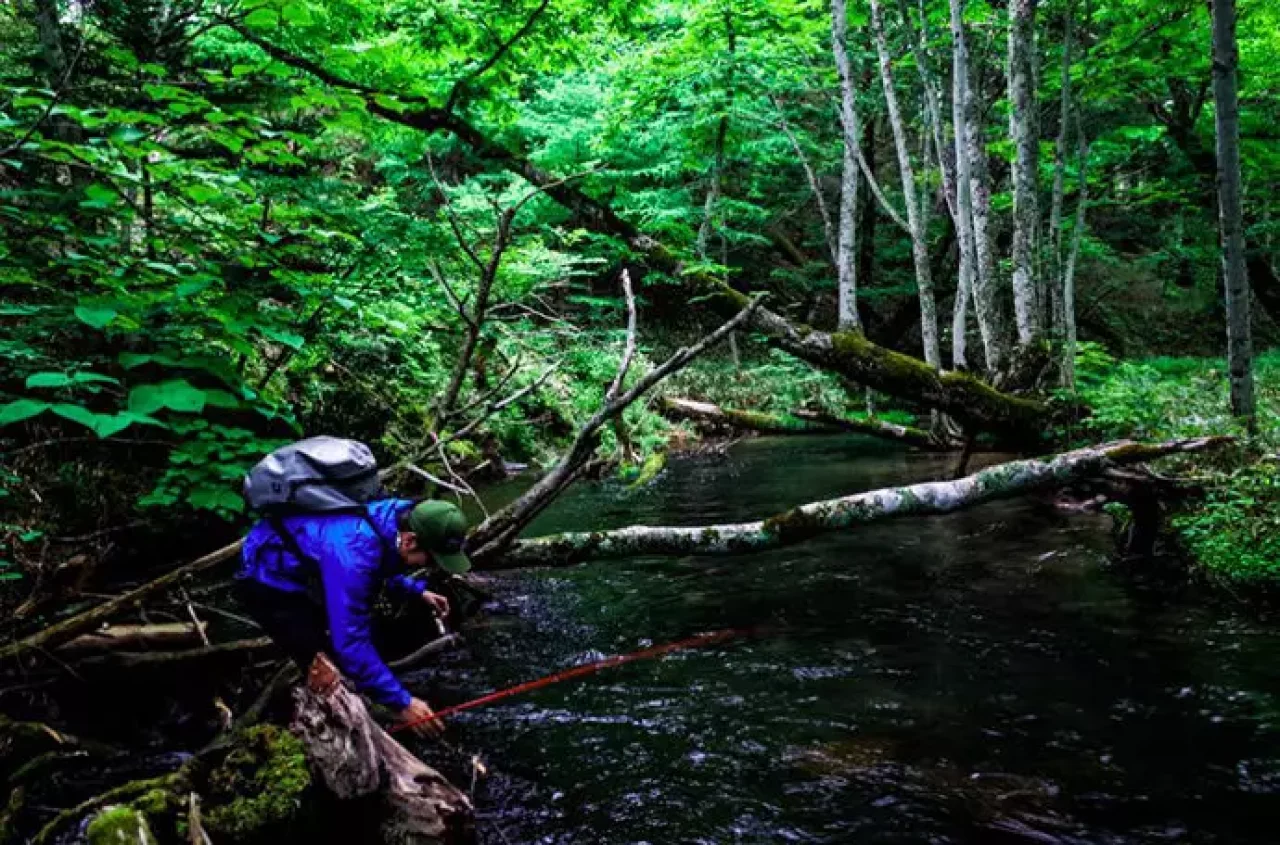 パタゴニアM10ジャケット