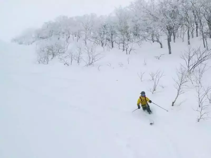 厳冬期