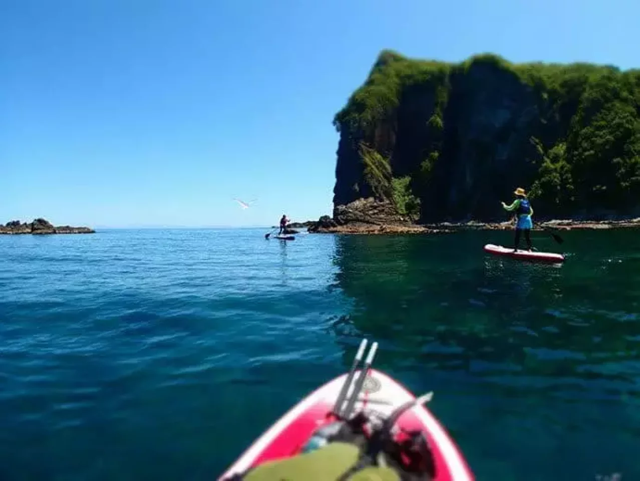 途中の岩礁では、まだ小さいヒナを守ろうとお母さんカモメが猛烈にアタックしてきます。