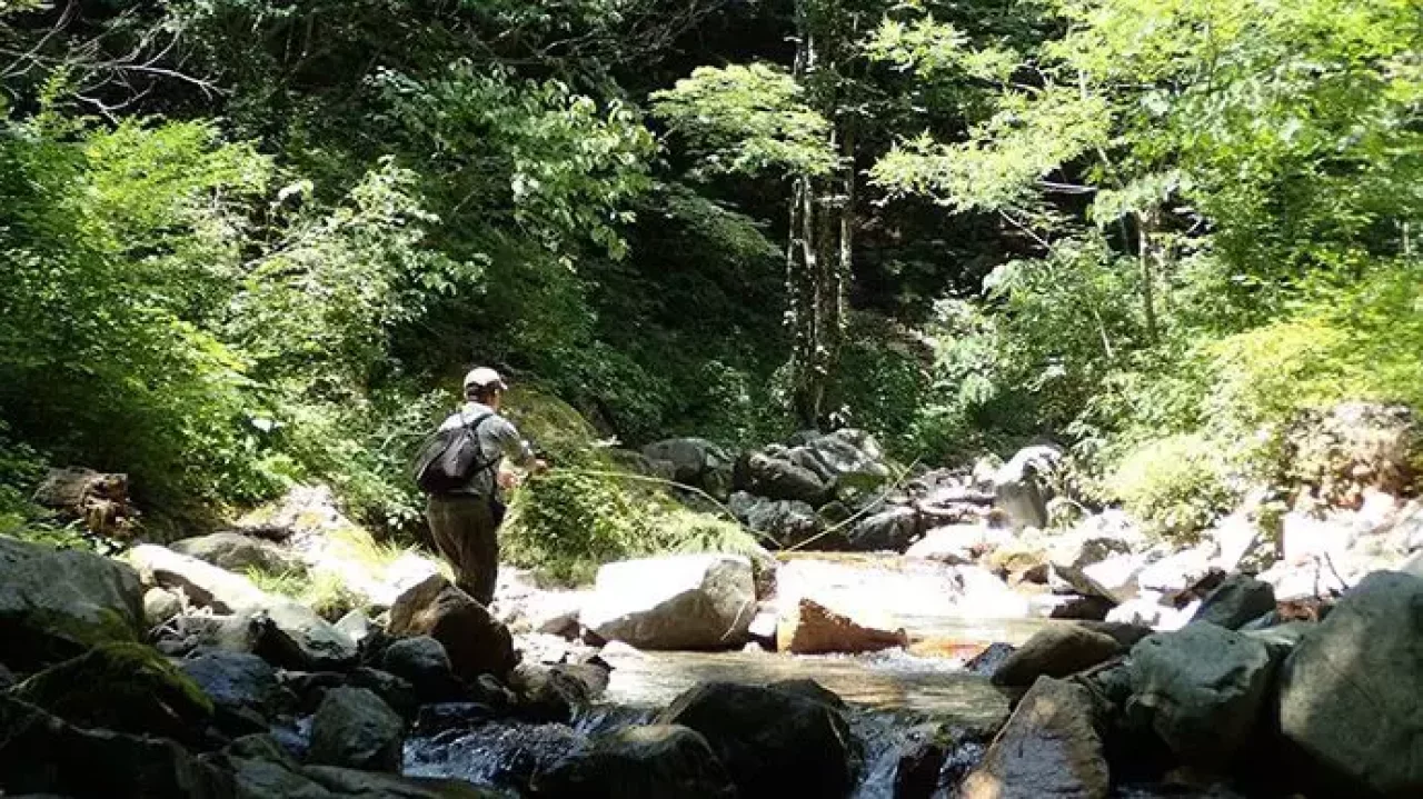 源流のフライフィッシング