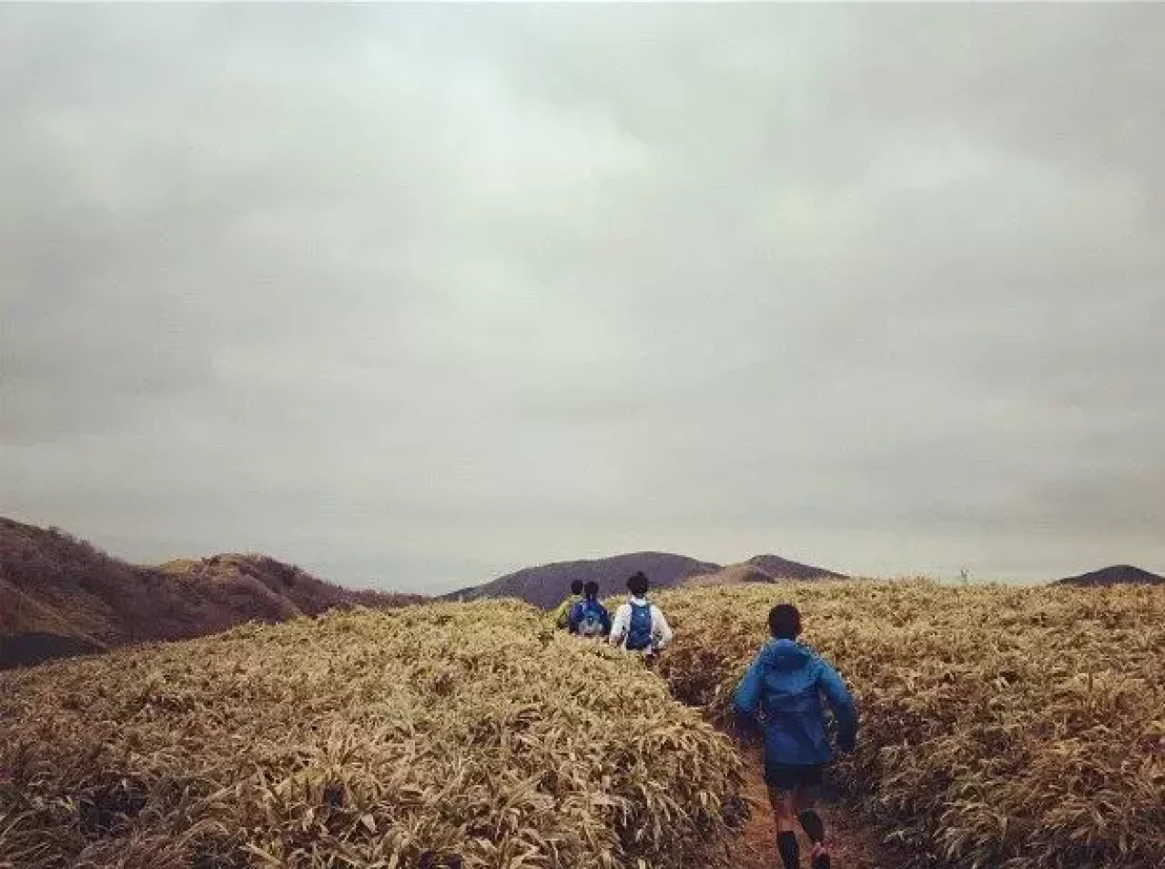 ウルトラトレイルの練習方法