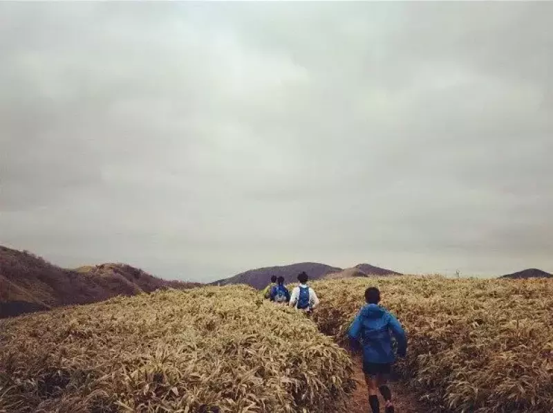 ウルトラトレイルの練習方法