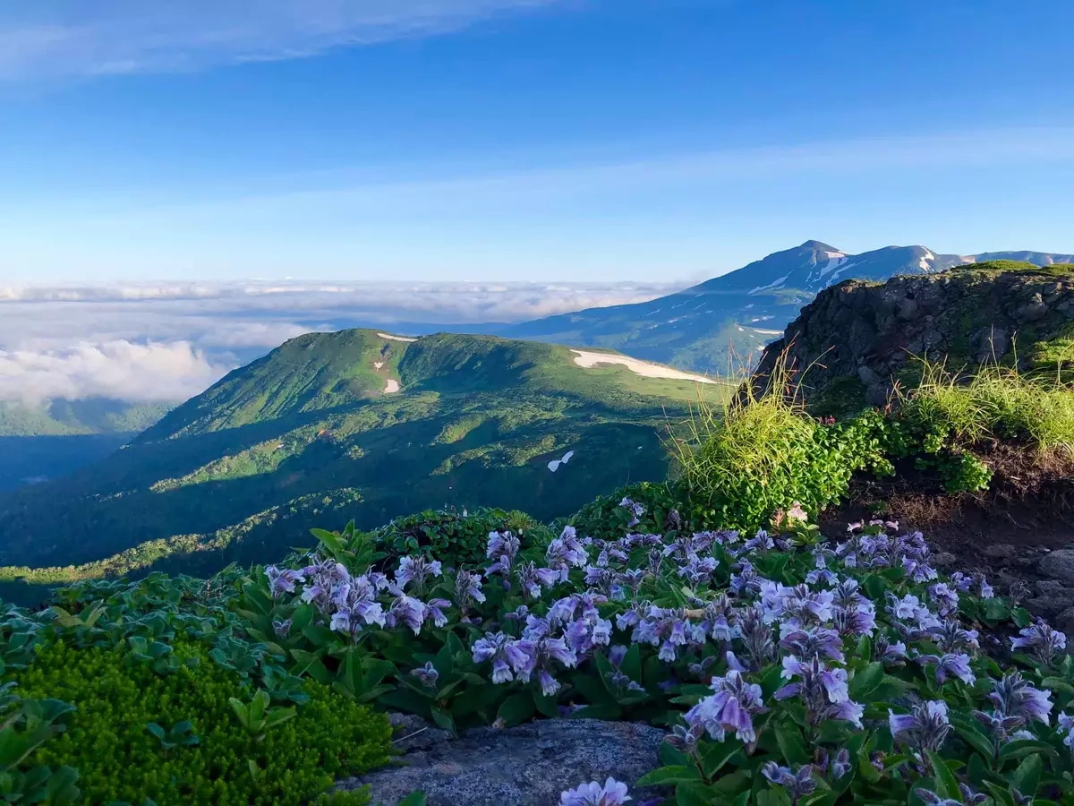 Hokkaido Backcountry Guidesで楽しむ大雪山トムラウシ縦走