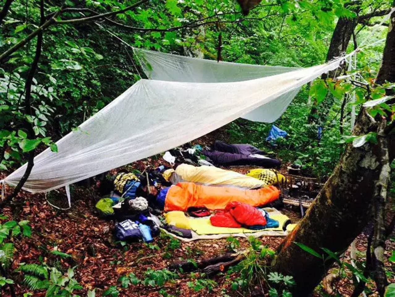 野営で使用しているタープ