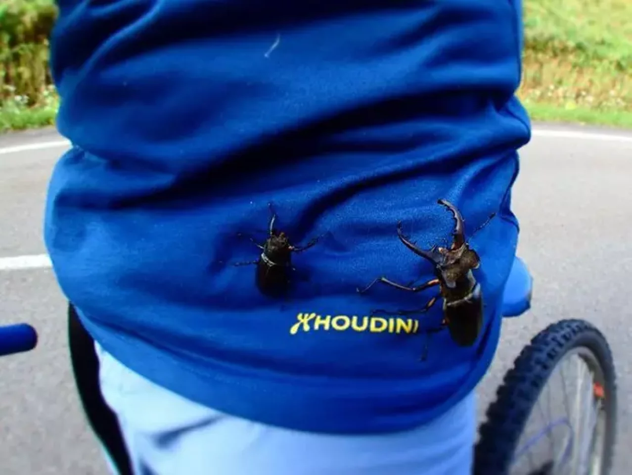 大人の夏休みは続く『奥尻一周の旅』