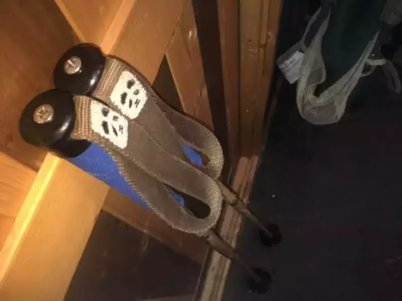 パンダポール