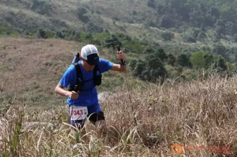 超軽量 トレッキングポール