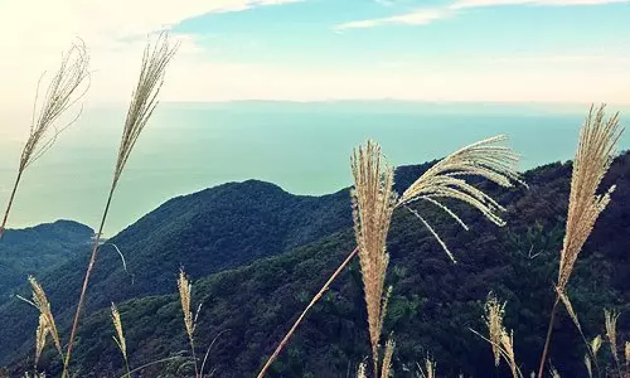 弥彦山からの越後平野