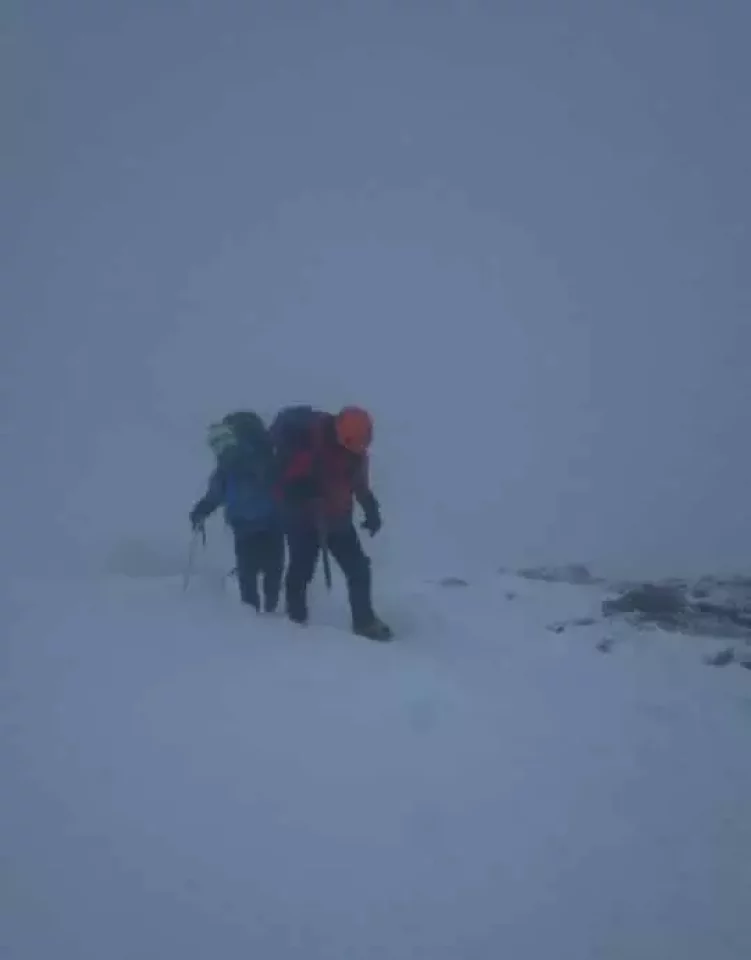 ベクターが命を助けてくれる