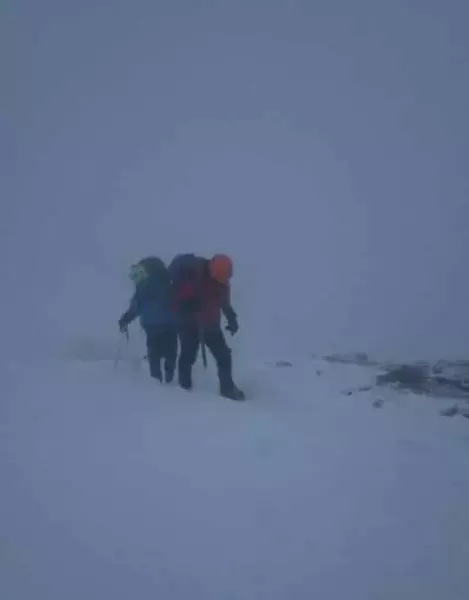 ベクターが命を助けてくれる