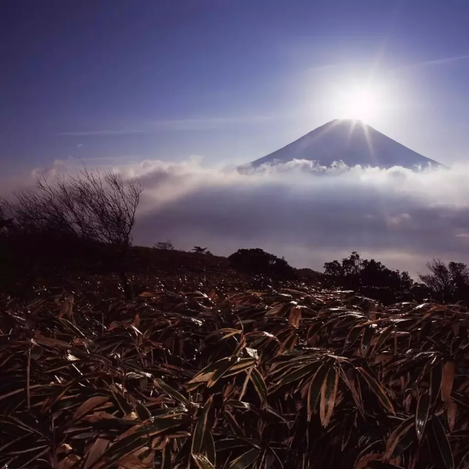 竜ヶ岳への登山コース