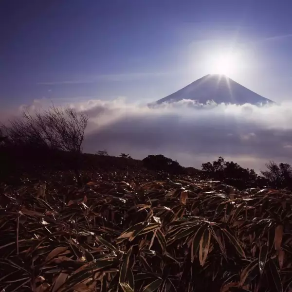 竜ヶ岳への登山コース