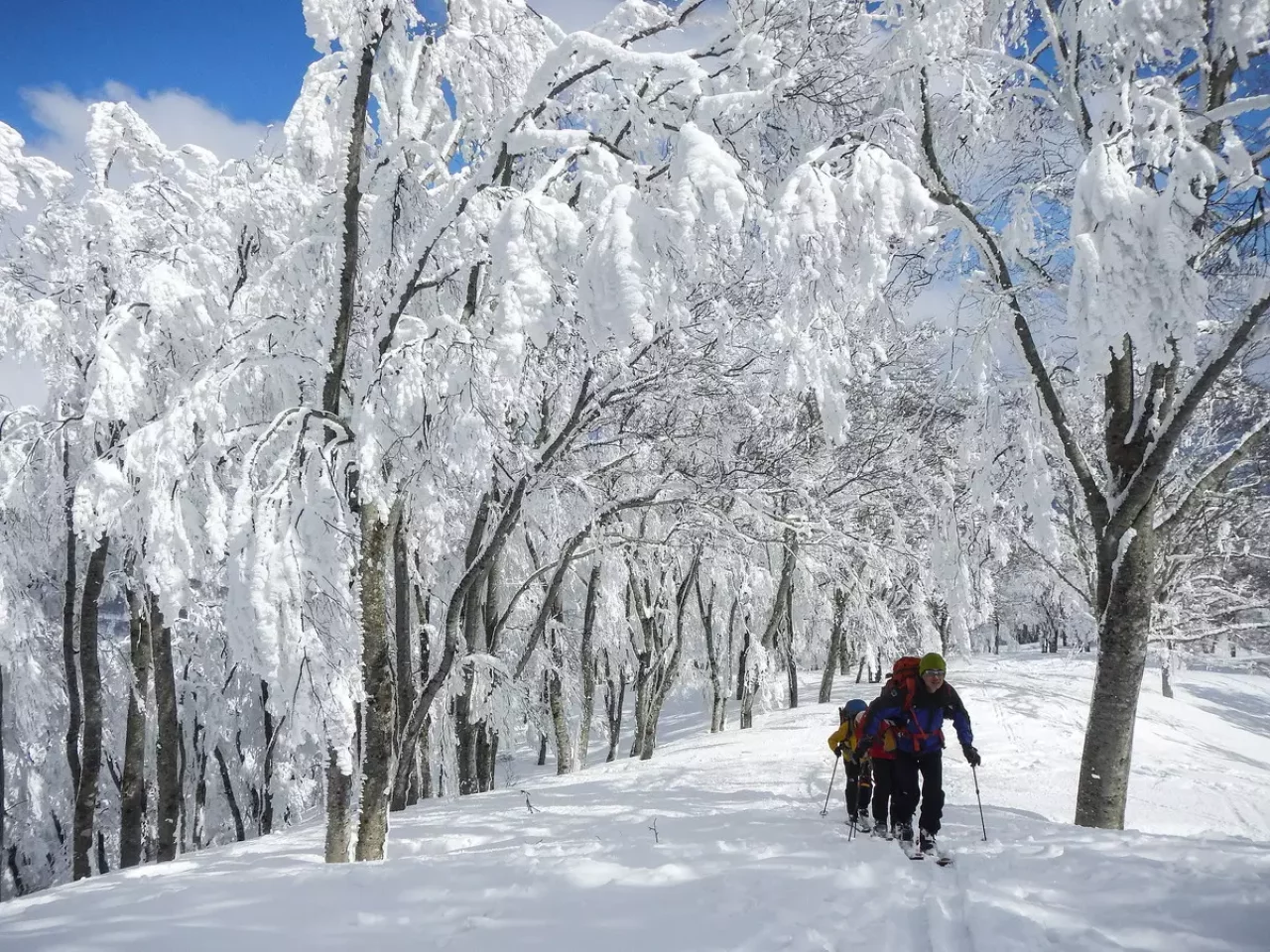 登山道以外のルートをたどるバリエーション登山-バックカントリースキー