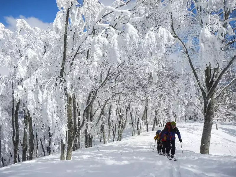 登山道以外のルートをたどるバリエーション登山-バックカントリースキー