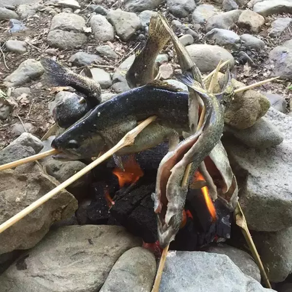 荒々しいマウンテカラ部