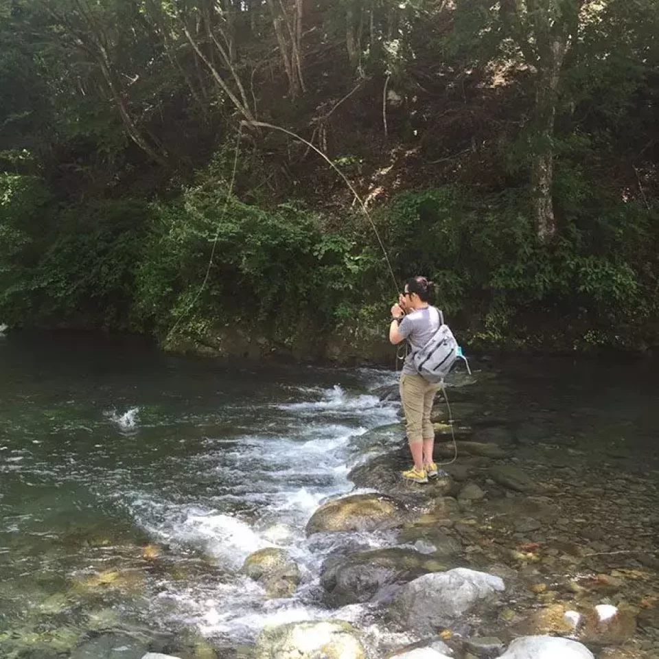 ポイントにフライを落とし、釣り上げる