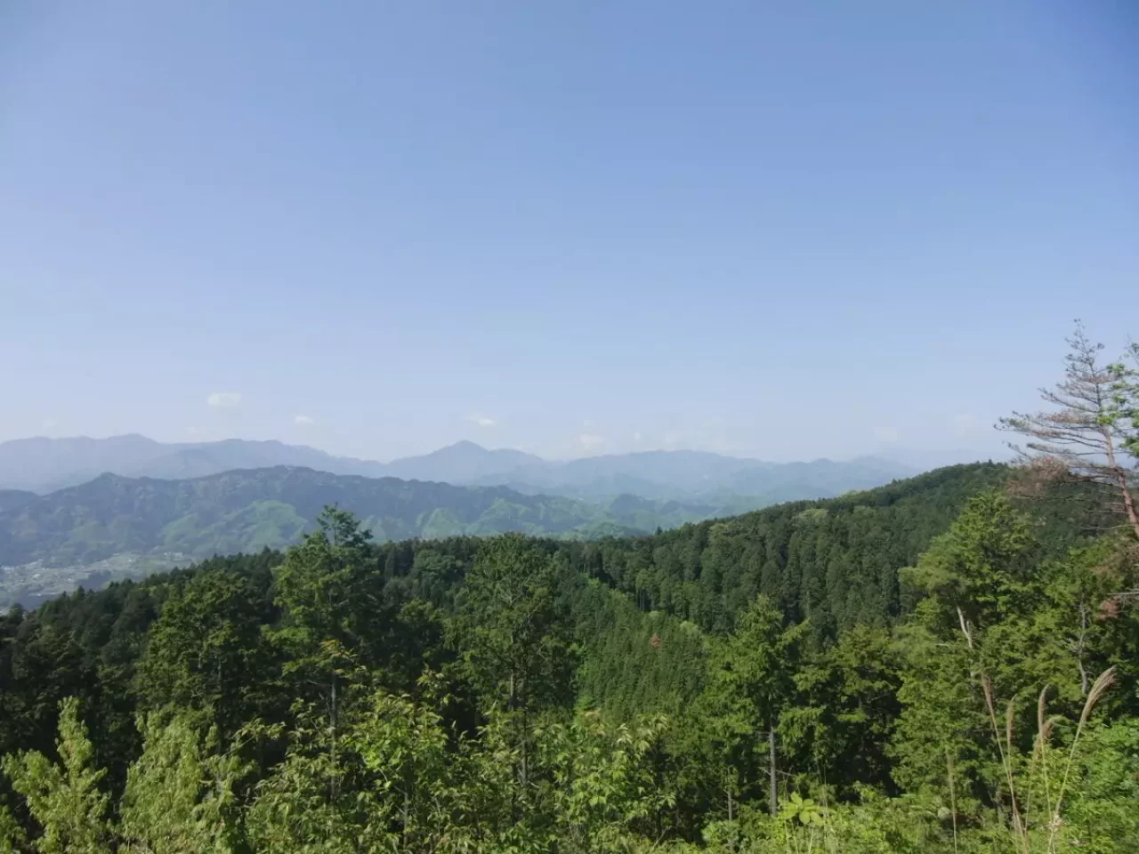 景信山 登山 眺望