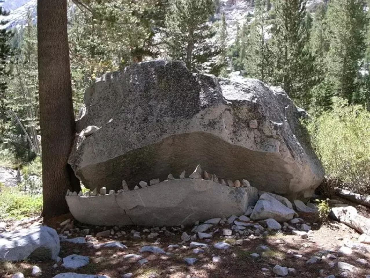 ジョンミューアトレイル