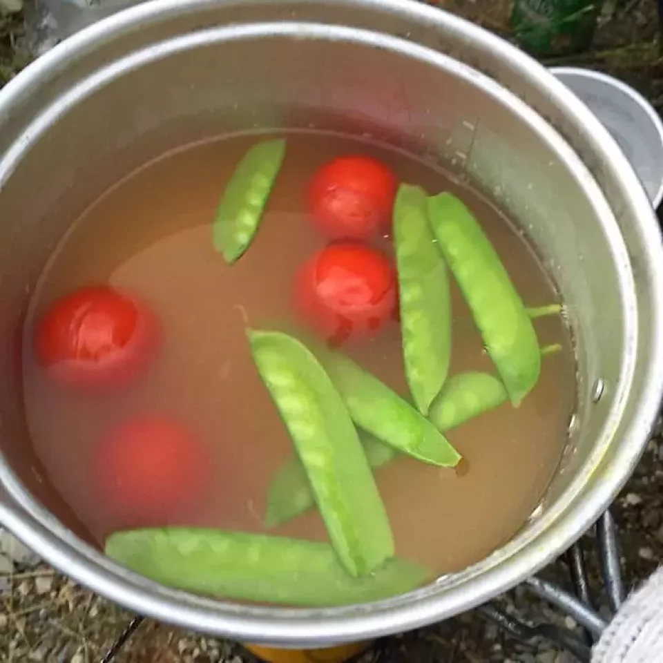 エバニュー チロルコッヘル