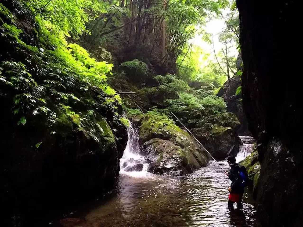 真木川でのテンカラ釣り