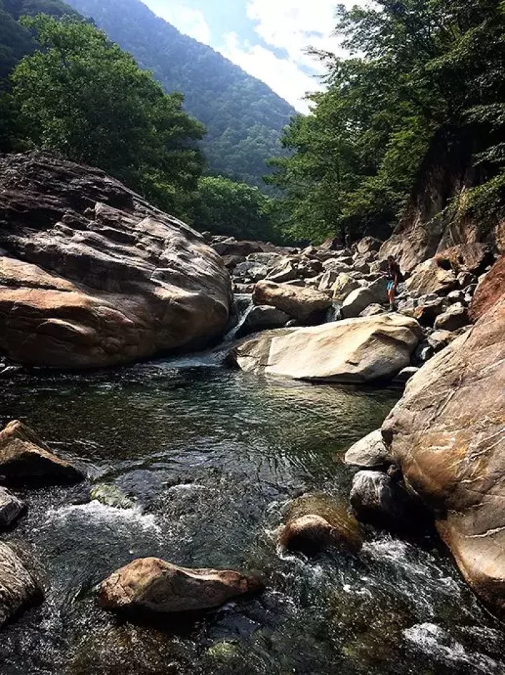 野呂川でテンカラ&フライフィッシング