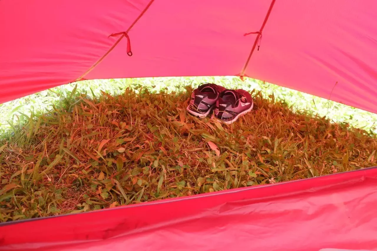 テント『MSR エリクサー1』