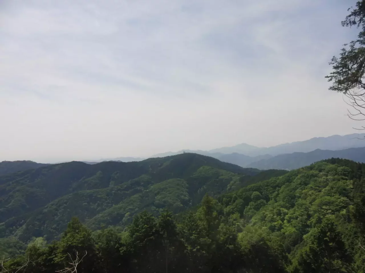 景信山 登山 眺望