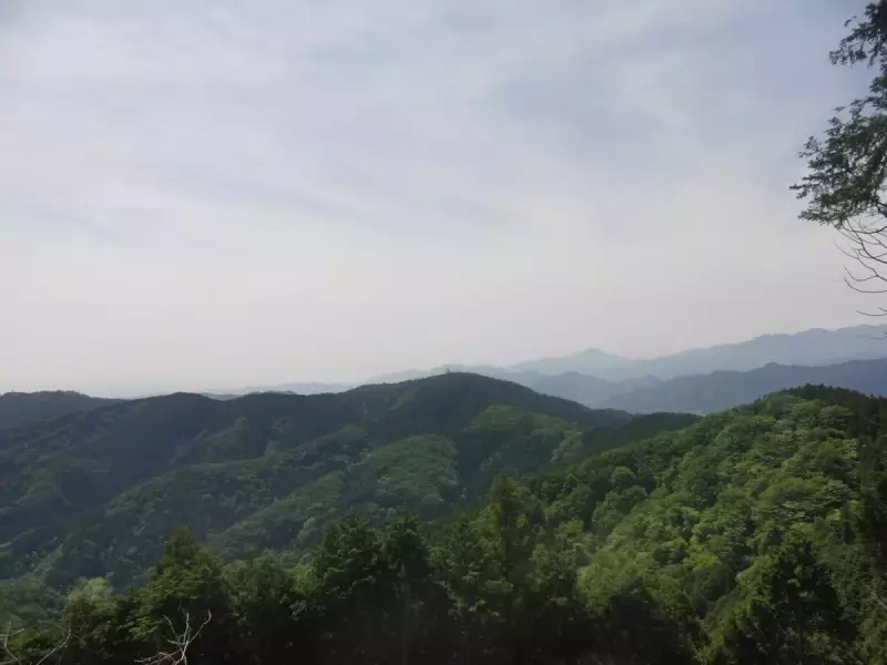 景信山 登山 眺望