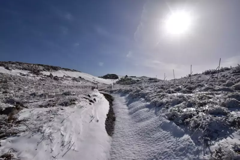 4月 春山 登山 日本百名山 おすすめ 登山道