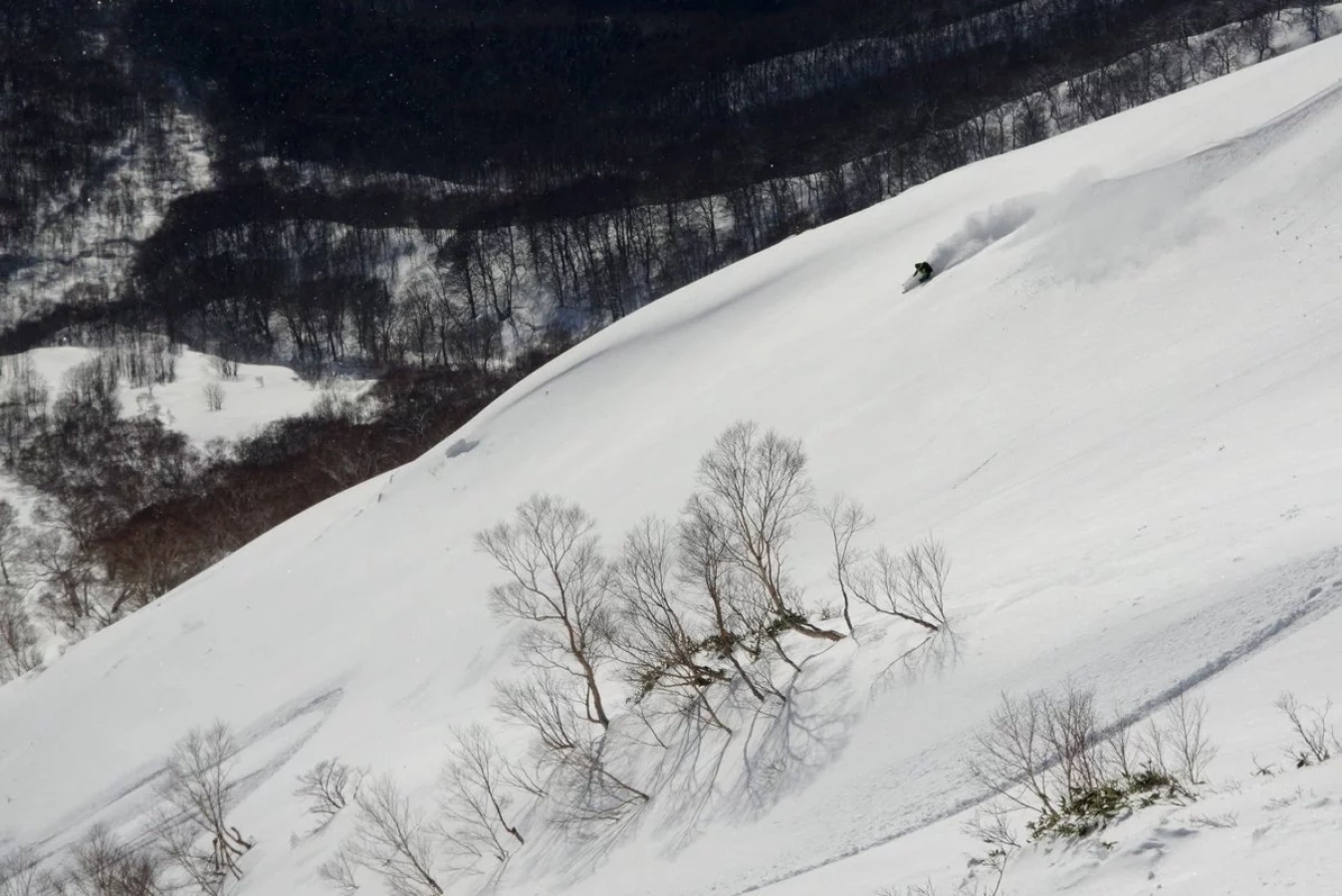 平標山BC、極寒を耐え至高のパウダーラン「その時は来た!」