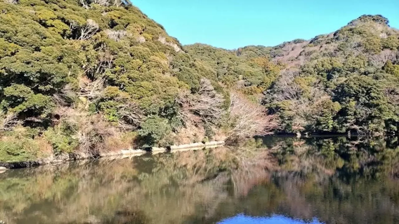 千葉 登山 高鶴山
