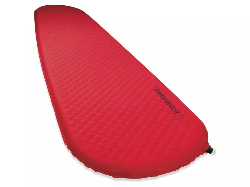 プロライト プラス