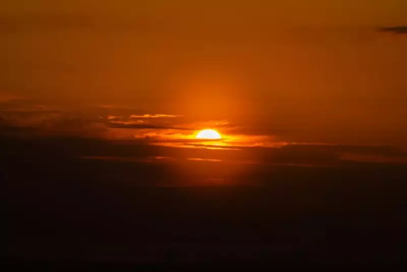 夕日