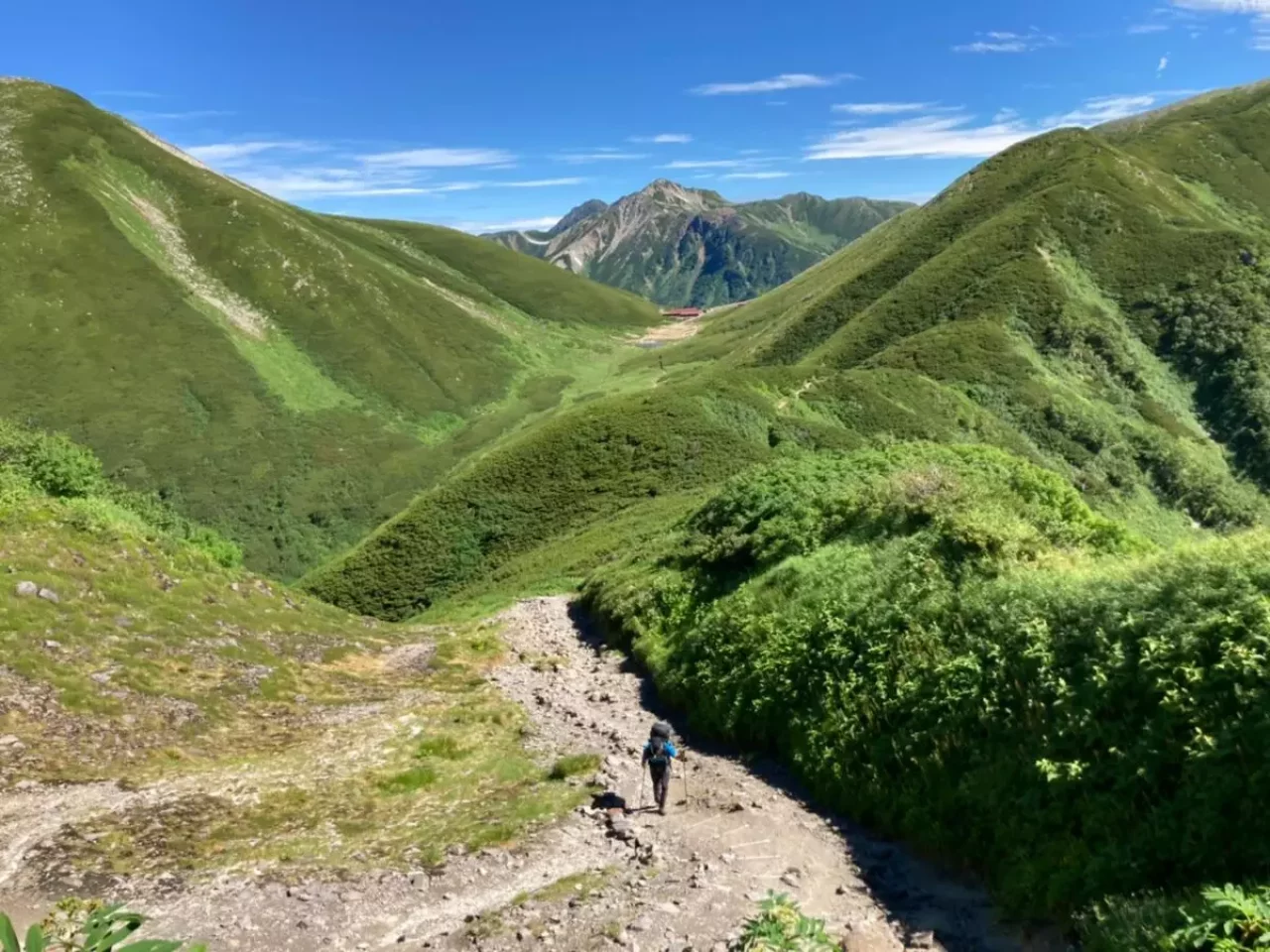 双六岳 登山 登山道