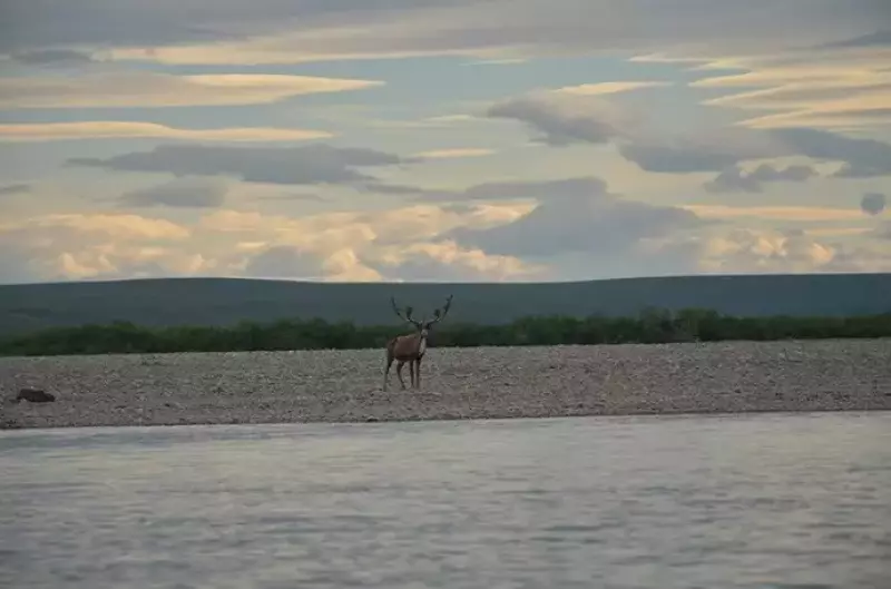 アラスカのカヤック旅