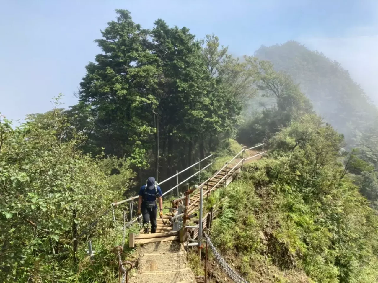 烏尾山 登山 登山道