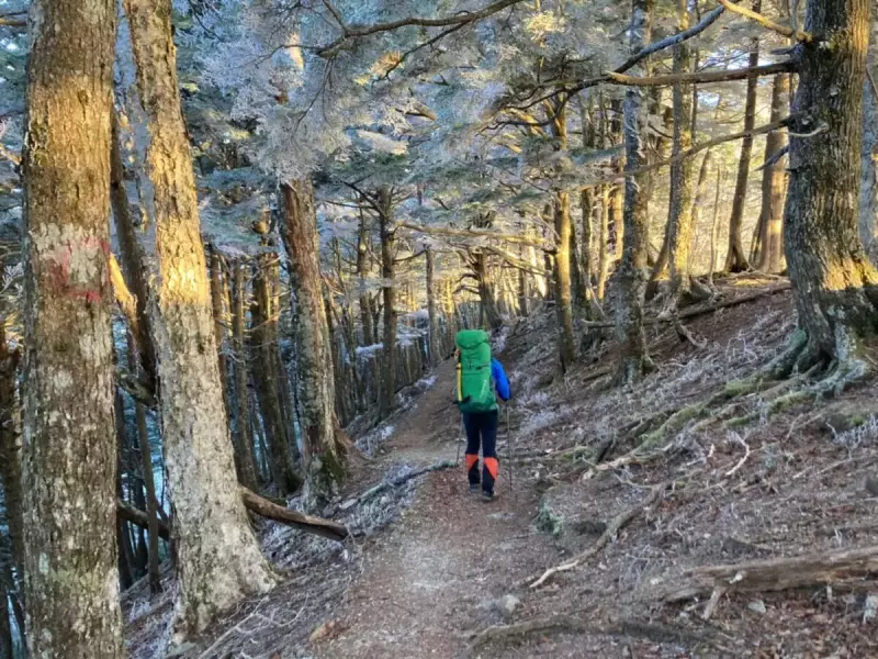 鳳凰三山 南アルプス 登山 観音岳  登山道