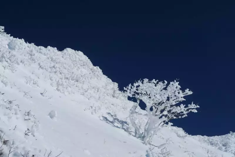 伊吹山 厳冬期 登山 雪