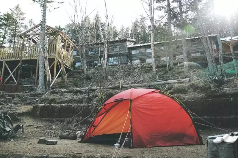 甲武信小屋のヒルバーグソウロ